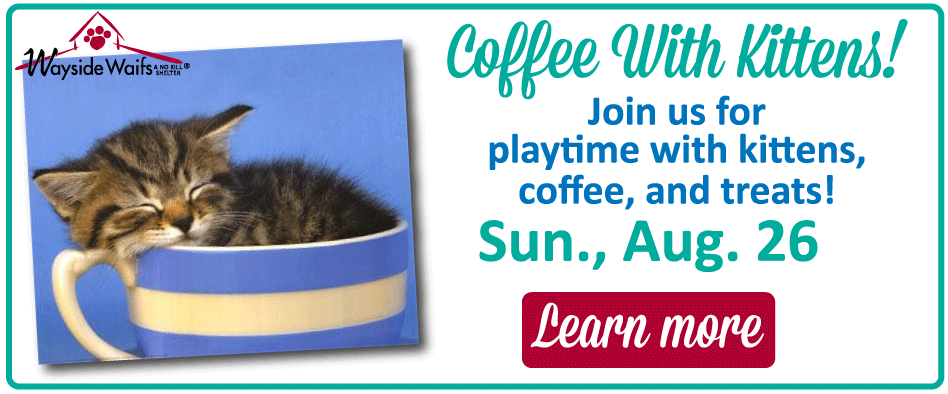 Coffeewithkittens.png