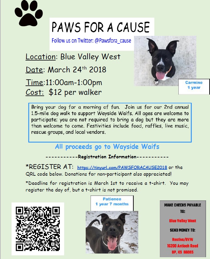 paws for a cause_18.jpg
