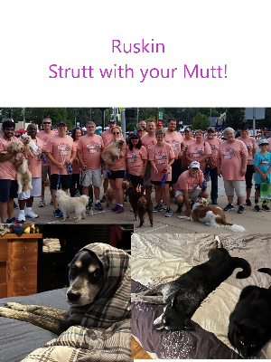 Ruskin at a past Strutt with your Mutt! Axel, a Wayside alum, pictured below.